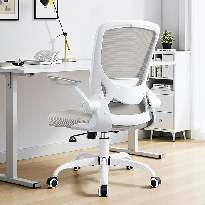 Ergonomic Office Chair, Mesh Computer Chairs with Lumbar Support, Swivel Desk Chair with Flip-up Arms and Adjustable Height, Light Gray