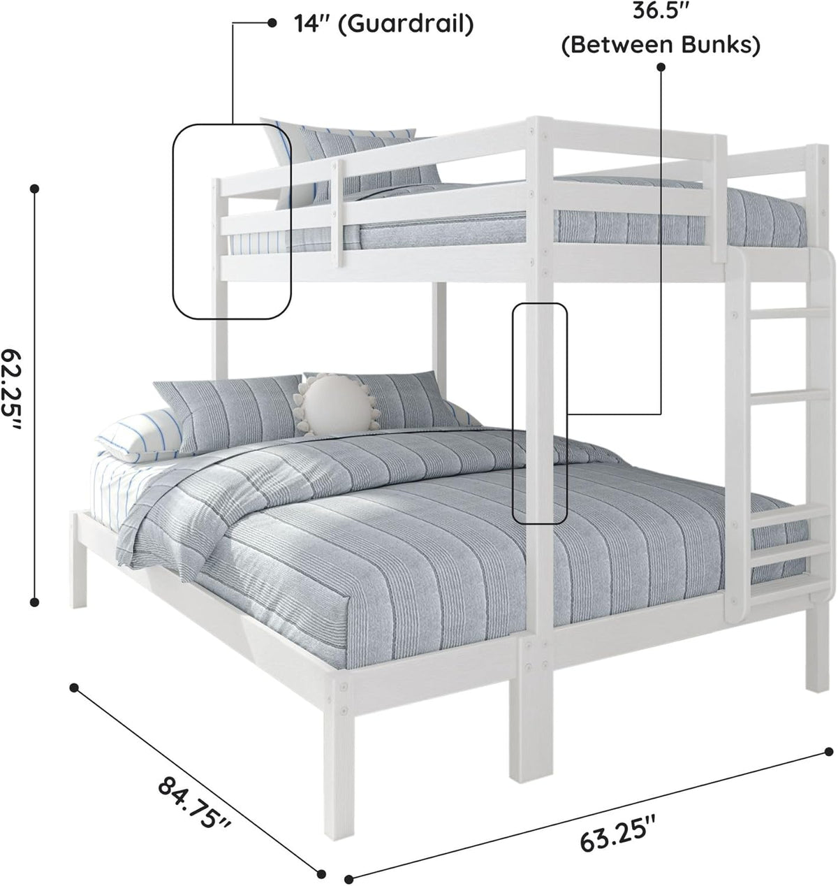 Grain & Grove Bear Twin XL Over Queen Bunk Bed, Sturdy Bunk Bed Frame for Kids, Plywood Bunk with Ladder, Guardrail, and Slats, No Box Spring Required, Brushed White
