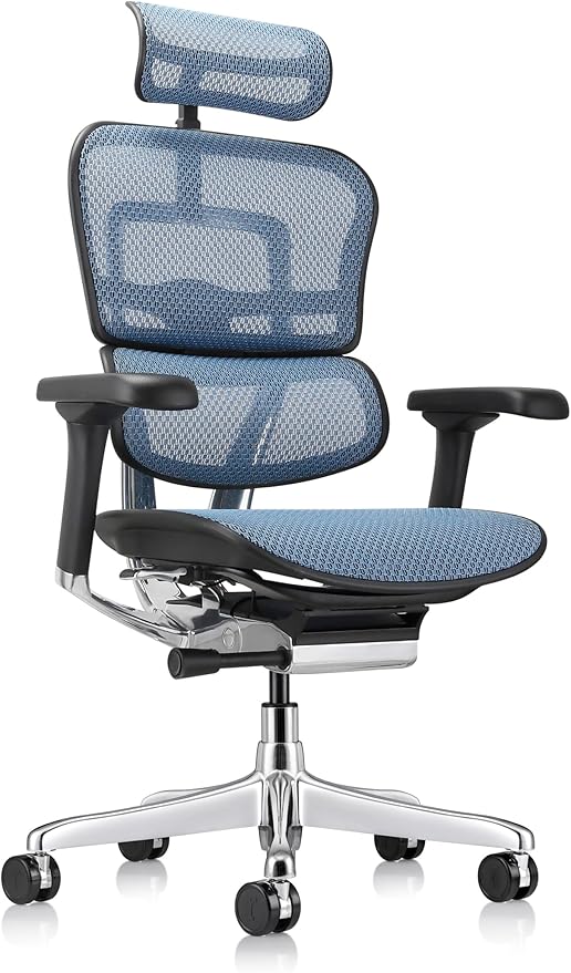 Ergohuman Eurotech ME7ERG GEN2 High Back Mesh Office Chair with Tilt Tension Control, Tilt Lock, Back Angle, Back Height, Synchro Tilt, Seat Height, Seat Depth, and Arm Height Adjustments, Blue